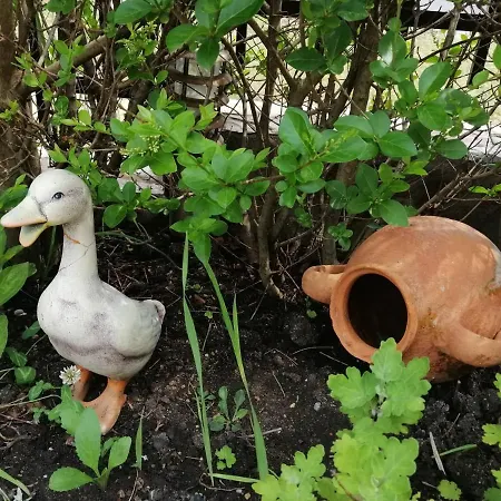 Vega Σωζόπολη