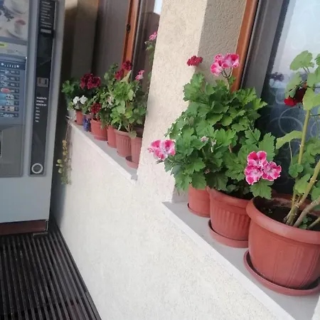 Ξενοδοχείο με διαμερίσματα Vega *